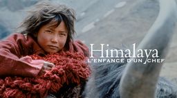 Himalaya, l'enfance d'un chef