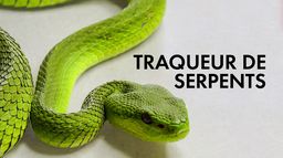 Traqueur de serpents