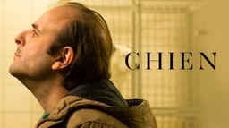 Chien