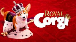 Royal Corgi