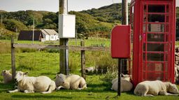 Le Nord sauvage de l'Ecosse