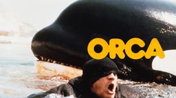 Orca