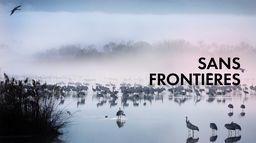 Sans frontière