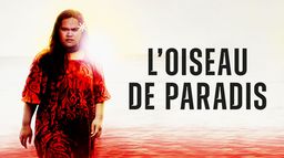 L'oiseau de paradis