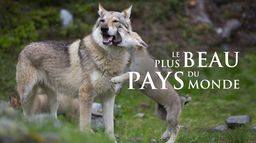 Le plus beau pays du monde