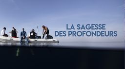 Arnaud Jerald, la sagesse des profondeurs