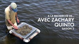 A la recherche de... avec Zachary Quinto