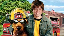 Rex, chien pompier