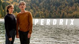 Perdrix