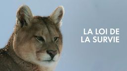 La loi de la survie