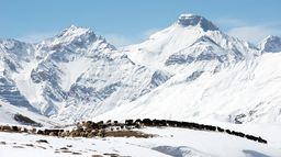 Montagnes sauvages