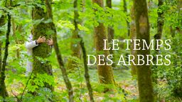 Le temps des arbres