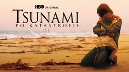 Tsunami: Po katastrofie