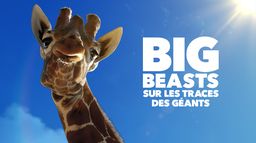 Big Beasts : sur les traces des géants