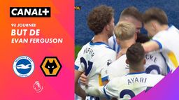 Le but de Evan Ferguson contre Wolverhampton (85')