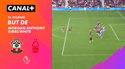 Le but de Morgan Anthony Gibbs-White contre Southampton (70')