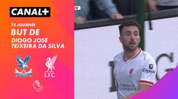 Le but de Diogo José Teixeira da Silva contre Crystal Palace (9')