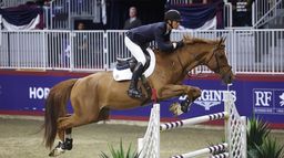 Equitation : Coupe du monde de saut d'obstacles