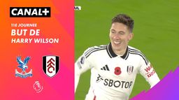 Le but de Harry Wilson contre Crystal Palace (83')