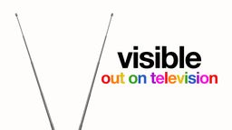 Visible: Out on Television