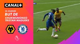 Le but de Chukwunonso Tristan Madueke contre Wolverhampton (58')