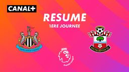 Le résumé de Newcastle / Southampton