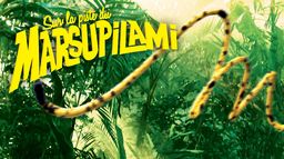 Sur la piste du Marsupilami