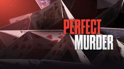 Perfect Murder