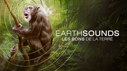 Earthsounds : les sons de la Terre