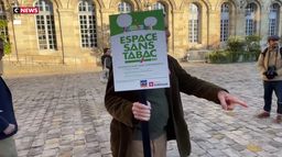 Bordeaux : la mairie a décidé de rendre une partie de l'espace public «non-fumeur»