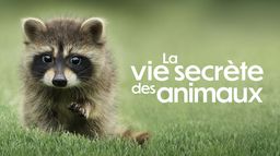 La vie secrète des animaux