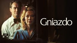 Gniazdo