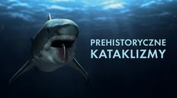Prehistoryczne kataklizmy