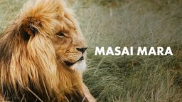 Masai Mara