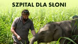 Szpital dla słoni