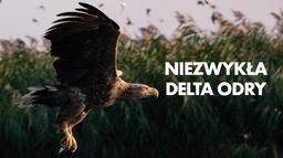 Niezwykła delta Odry
