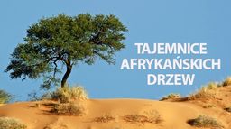 Tajemnice afrykańskich drzew