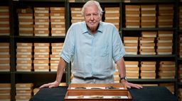 David Attenborough i cmentarzysko mamutów