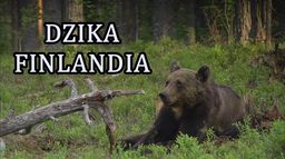 Dzika Finlandia