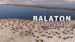Balaton: Ukryty raj
