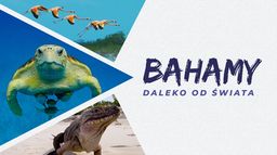 Bahamy. Daleko od świata