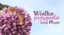 Wielka przygoda małej myszki