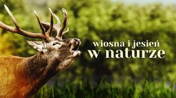 Wiosna i jesień w naturze
