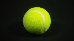 Finał WTA 500 w Guadalajarze