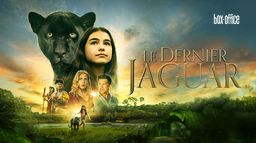 Le Dernier Jaguar