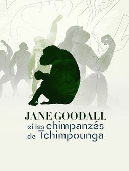 Jane Goodall et les chimpanzés de Tchimpounga