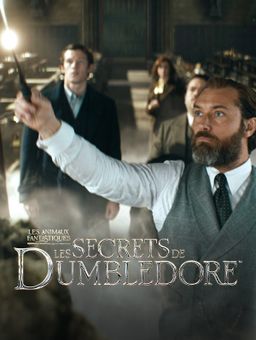 Les Animaux Fantastiques : les Secrets de Dumbledore
