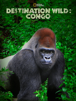 Destination Wild : Congo