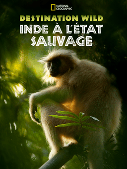 Destination Wild : Inde à l'état sauvage