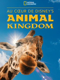 Au Cœur de Disney's Animal Kingdom